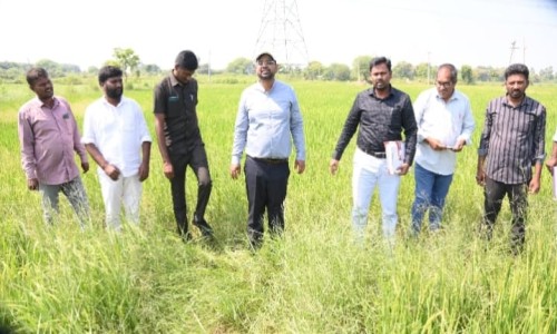 భూ భారతి, రీ-సర్వే, ఓటరు జాబితా సవరణ పనులను వేగవంతం చేయాలి.